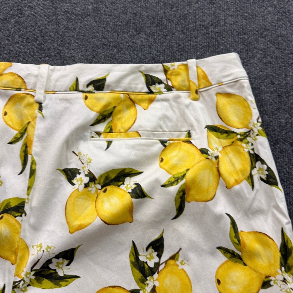 Lane Bryant Lemon Print Shorts Sz 24 White Yellow High Rise Stretch Fruit Preppy - Picture 6 of 13